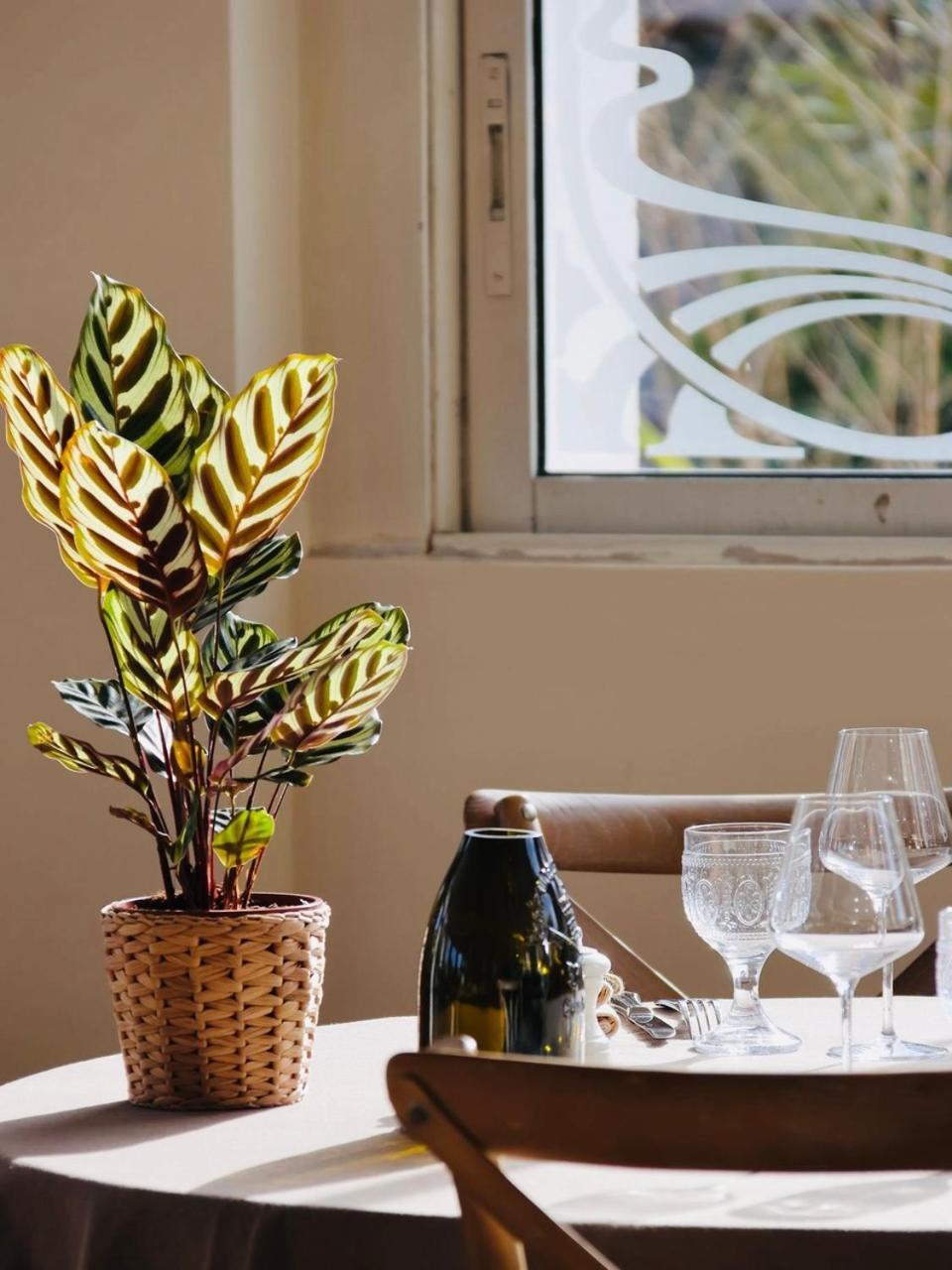 Adonis Sanary Grand Hotel Des Bains Bagian luar foto